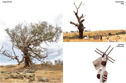 An Artificial Intelligence Agent That Synthesises Visual Abstractions of Natural Forms to Support the Design of Human-Made Habitat Structures